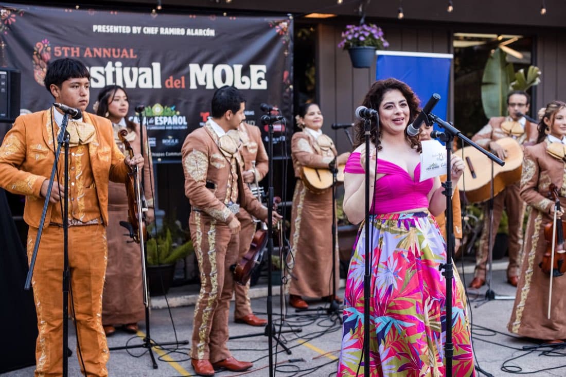 Cultural festival performance